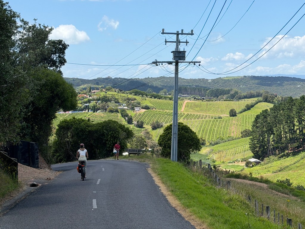 The Wonderful Waiheke&nbsp;Island