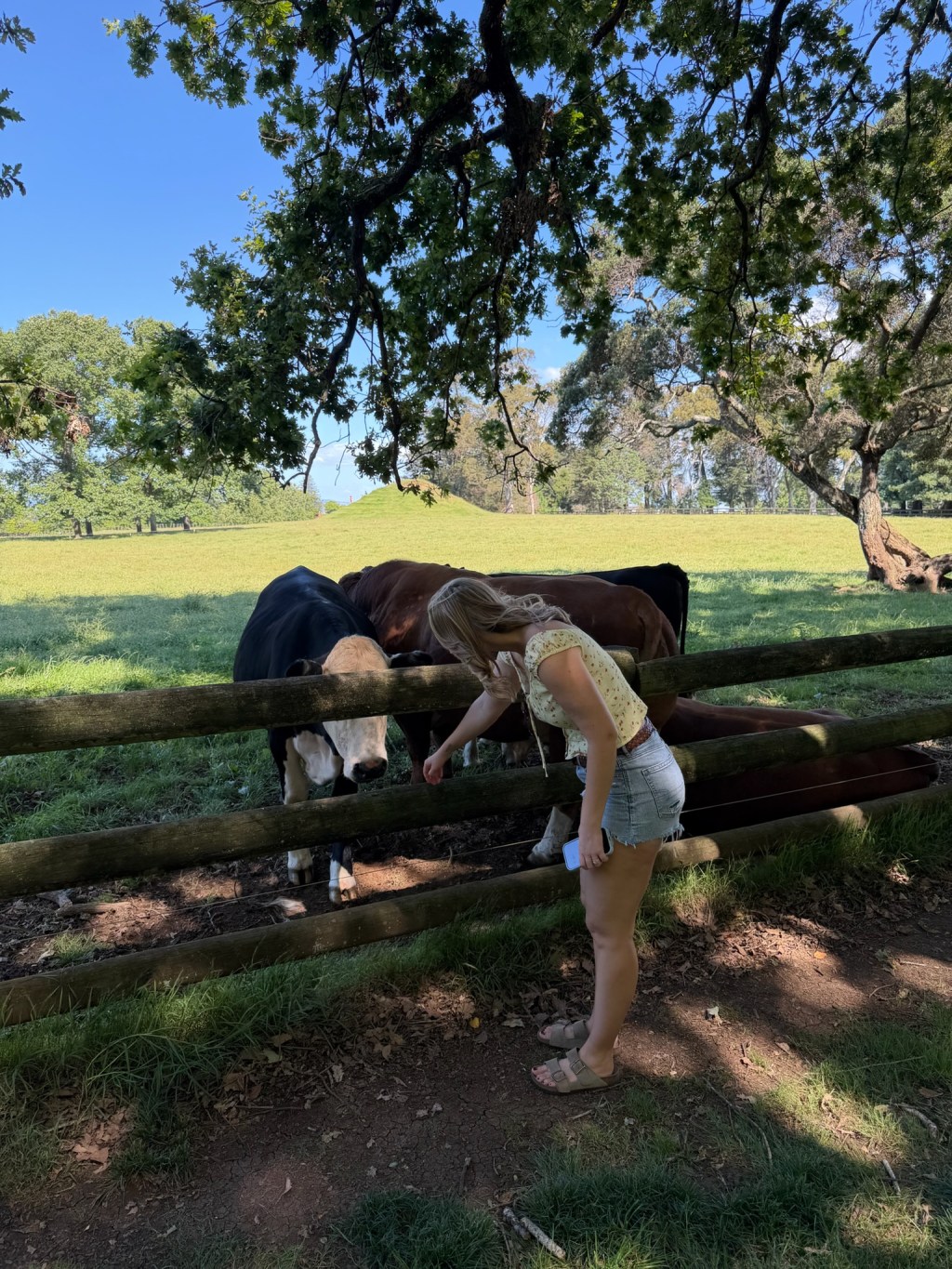 A Sunny Saturday in&nbsp;Auckland