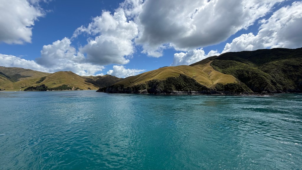 South Island Via the InterIslander&nbsp;Ferry